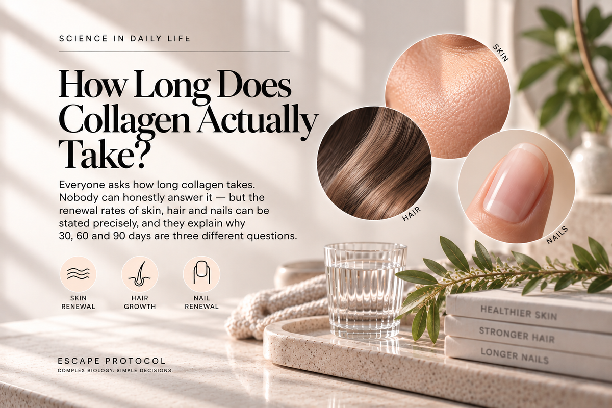 How Long Does Collagen Actually Take?